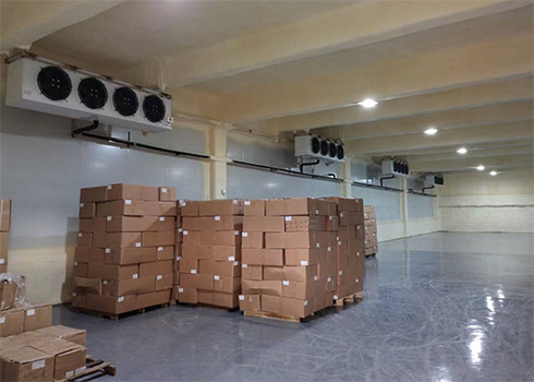 醫(yī)藥冷藏庫方案建造費用