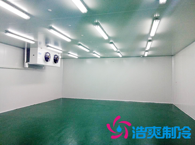 藥品冷庫安裝方案及設(shè)計(jì)標(biāo)準(zhǔn)