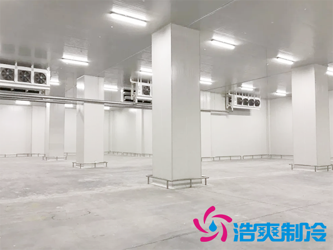 藥品冷庫安裝要求及設(shè)計標(biāo)準(zhǔn)規(guī)范