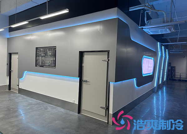 智能全自動(dòng)化醫(yī)藥公司冷庫(kù)定制安裝廠家