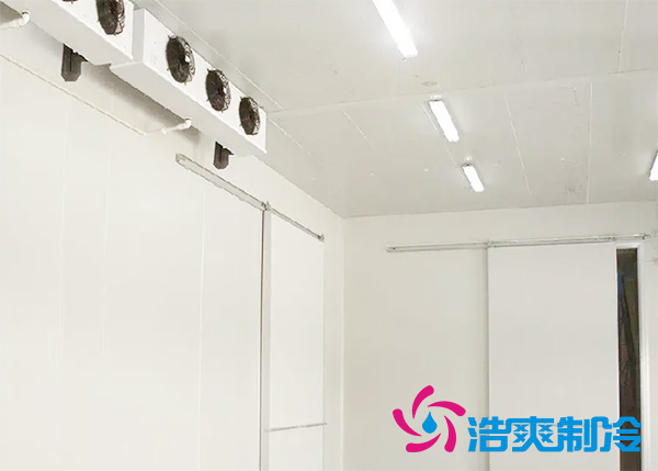 醫(yī)藥企業(yè)冷庫定制方案及造價(jià)標(biāo)準(zhǔn)