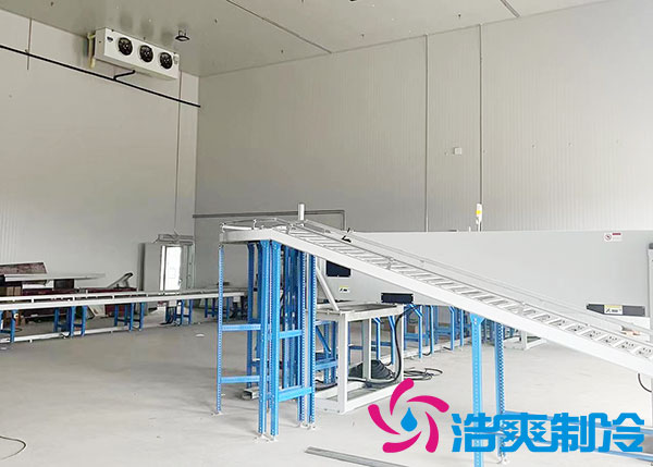上海醫(yī)藥冷庫建造找誰好？-浩爽制冷