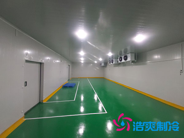  潔凈區(qū)冷庫建設(shè)方案及標準規(guī)范