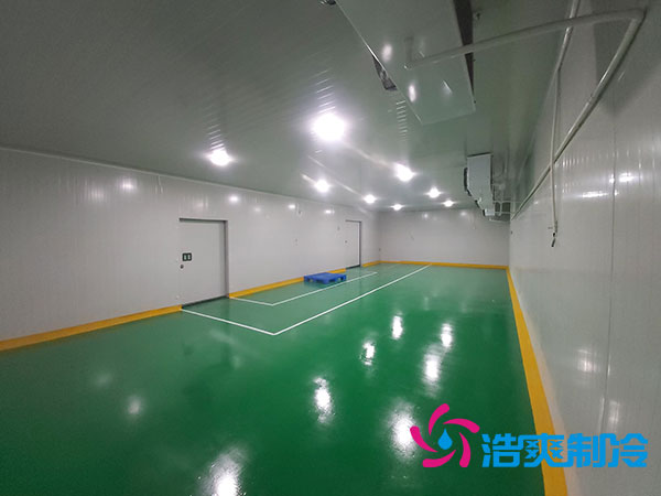 醫(yī)藥化工制冷工廠建造一個(gè)藥品冷庫要多少錢？-浩爽制冷