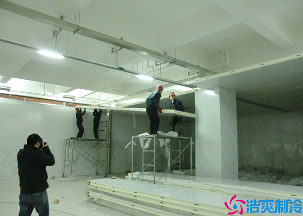  懷化疫苗冷藏庫設(shè)計(jì)安裝gsp標(biāo)準(zhǔn)