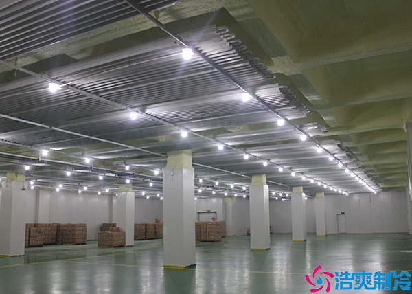  西昌大型醫(yī)藥冷庫(kù)工程設(shè)計(jì)安裝標(biāo)準(zhǔn)