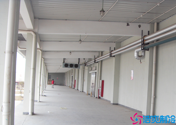  廈門疫苗冷藏庫設(shè)計安裝gsp標準