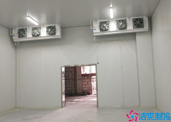 慶陽中型血漿冷庫設(shè)計(jì)建造