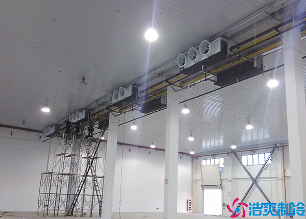  烏魯木齊血漿冷庫(kù)設(shè)計(jì)建造