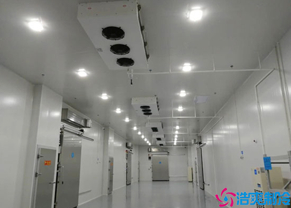  醫(yī)院冷庫(kù)建設(shè)方案