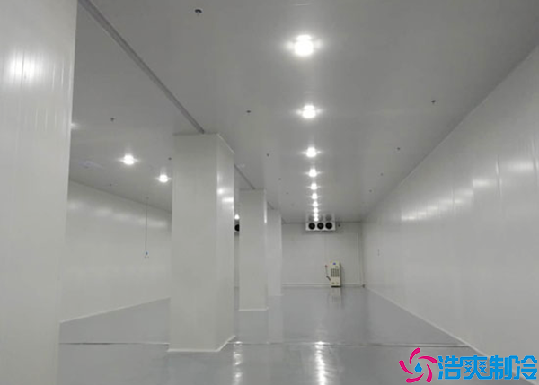  醫(yī)院藥庫冷庫建造方案