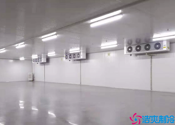  醫(yī)藥冷庫設(shè)計(jì)規(guī)范方案