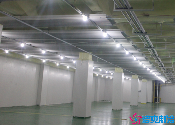 江西醫(yī)藥冷凍庫工程設(shè)計(jì)施工方案