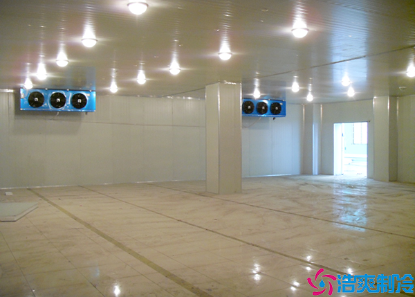  湖南GSP醫(yī)藥冷庫施工