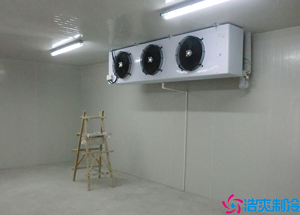  湘西GSP醫(yī)藥冷庫設計方案