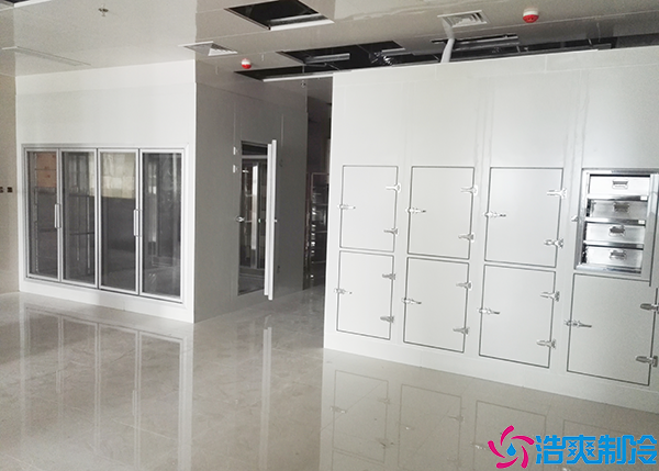  岳陽GSP醫(yī)藥冷庫定制