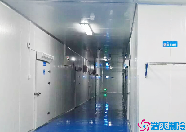  醫(yī)藥冷凍庫建造公司