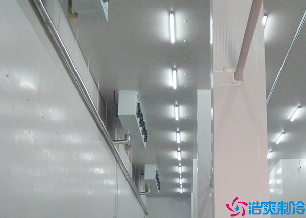  廣東藥品冷庫(kù)建造公司