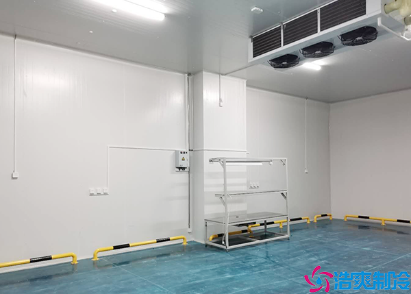  廣東gsp醫(yī)藥冷庫(kù)設(shè)計(jì)標(biāo)準(zhǔn)