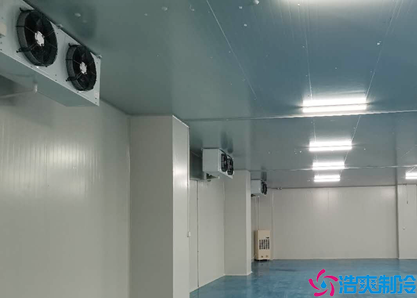  益陽gsp醫(yī)藥冷庫建設方案