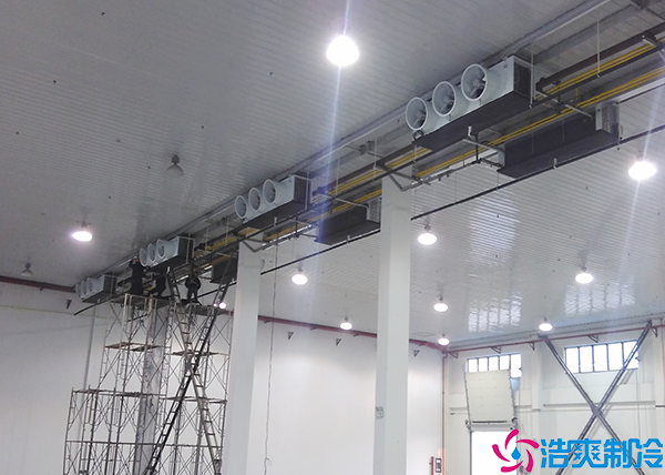 醫(yī)藥冷凍庫