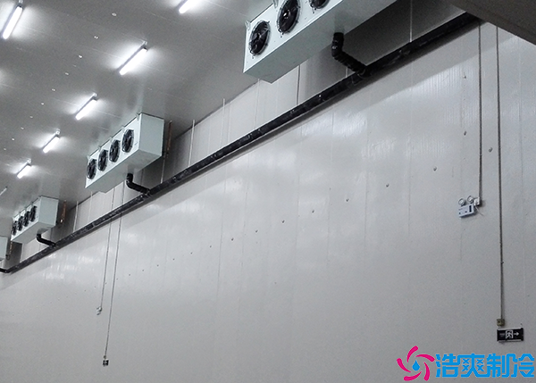  常德GSP醫(yī)藥冷庫設(shè)計(jì)規(guī)范