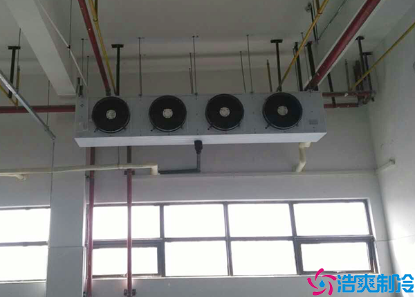 醫(yī)藥物流冷庫