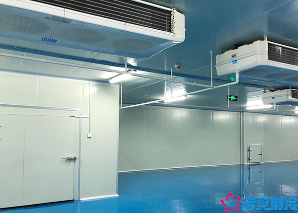 郴州醫(yī)療冷庫造價多少錢一平方?