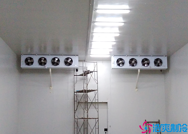  100立方醫(yī)療冷庫建設費用及要素