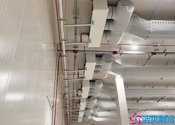  廣東藥品冷藏冷庫保養(yǎng)價格的考量