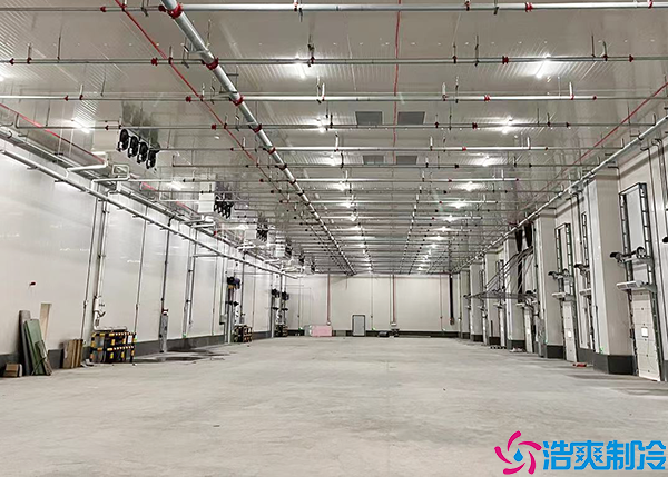 懷化醫(yī)藥冷凍庫建設項目的要點