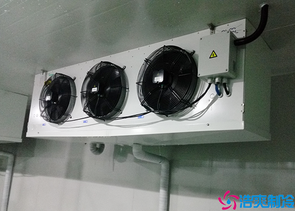 福建血漿冷庫建造需要多少錢?