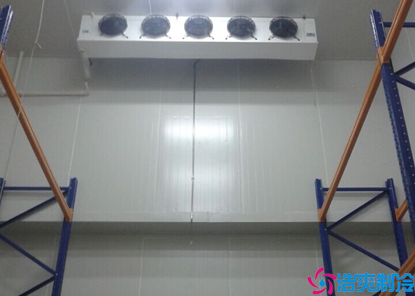  500平生物試劑冷庫建造成本是多少？