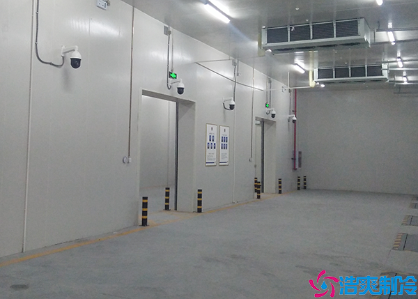  益陽GSP醫(yī)藥冷庫設計施工方案及流程