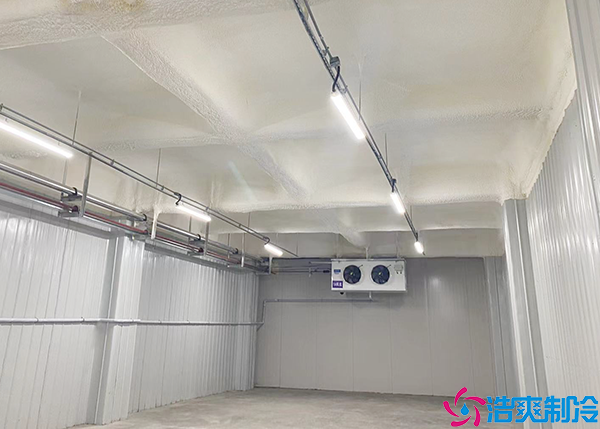  永州小型醫(yī)藥冷庫造價(jià)多少錢一平方？