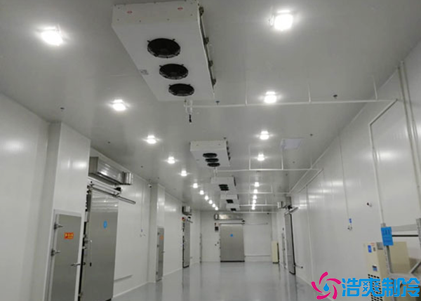 湖南醫(yī)藥冷凍庫建造價格多少錢一噸?