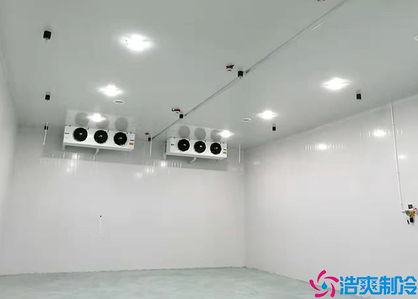  湖南藥品冷藏冷庫(kù)保養(yǎng)公司