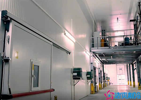 智慧醫(yī)藥物流冷庫