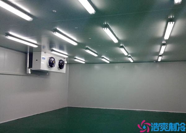 醫(yī)療冷庫(kù)