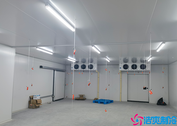 醫(yī)藥冷凍庫