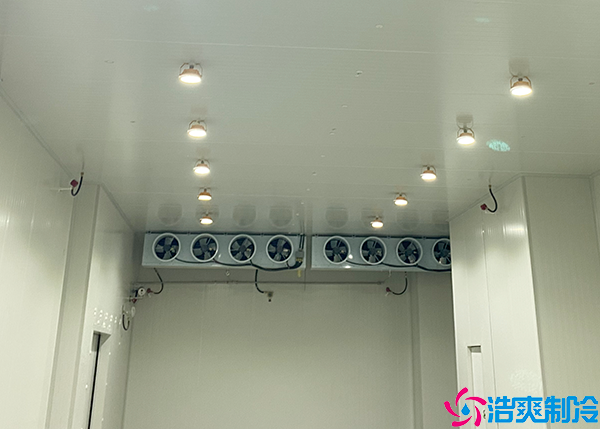 醫(yī)藥物流冷庫