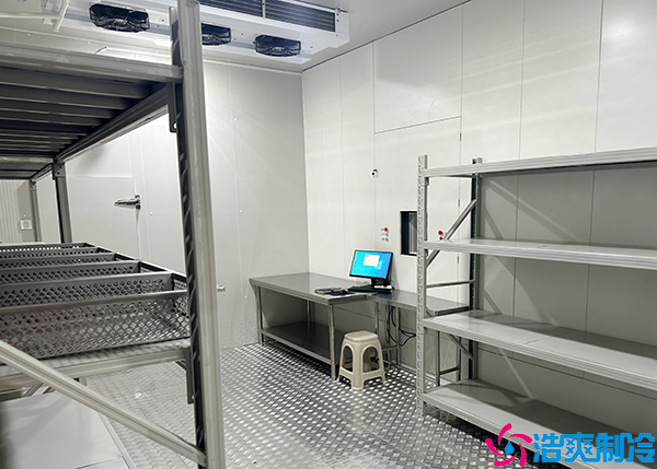  甘肅自動化醫(yī)藥冷庫生產(chǎn)廠家