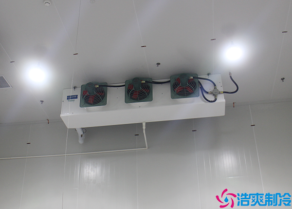 醫(yī)療冷庫(kù)