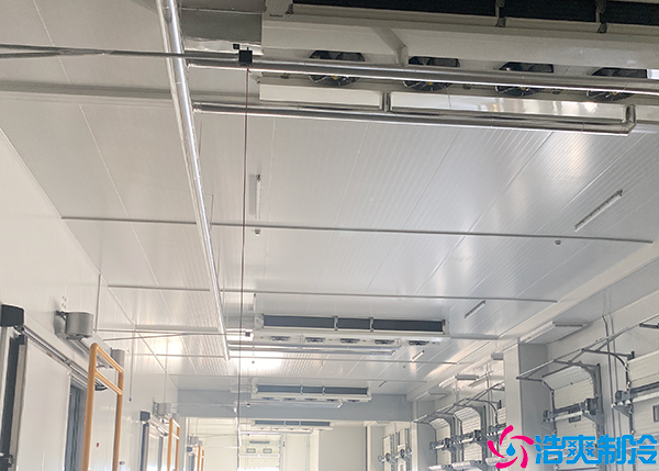 自動(dòng)化醫(yī)藥冷庫