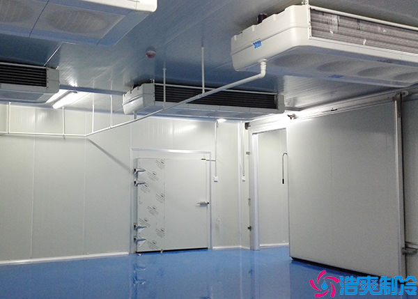  600方衡陽GSP醫(yī)藥冷庫建造價(jià)格多少錢？
