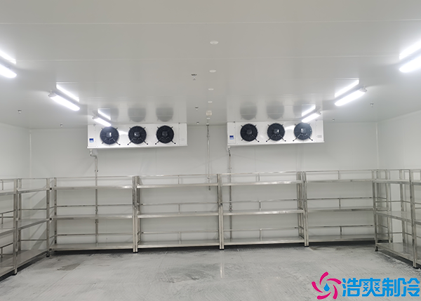 日照小型醫(yī)藥冷庫建設(shè)項目有哪些？
