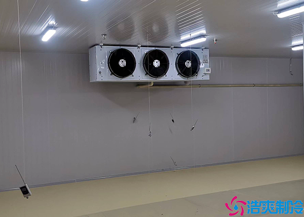  江西小型醫(yī)療冷庫造價多少錢一平方？