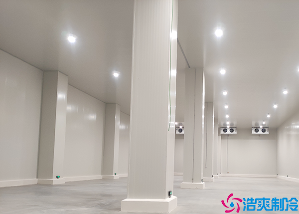  成都醫(yī)藥冷庫安裝施工團隊