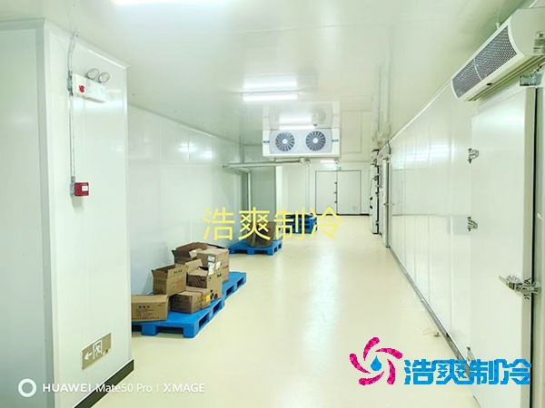  醫(yī)藥冷庫安裝價格受哪些關(guān)鍵因素影響？