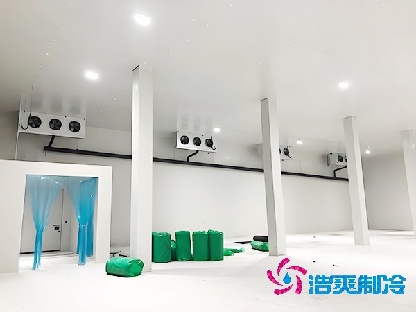 醫(yī)藥冷凍庫(kù)的安裝特性有哪些？